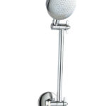 Ruby Round Brass All Direction Shower Head